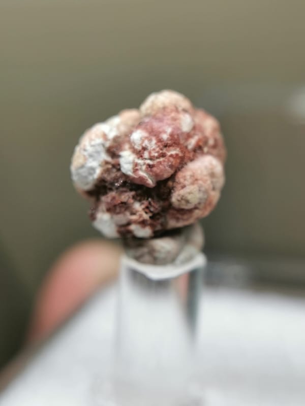 Source-recorded gypsum from Guizhou, China, individual mineral specimen view 1