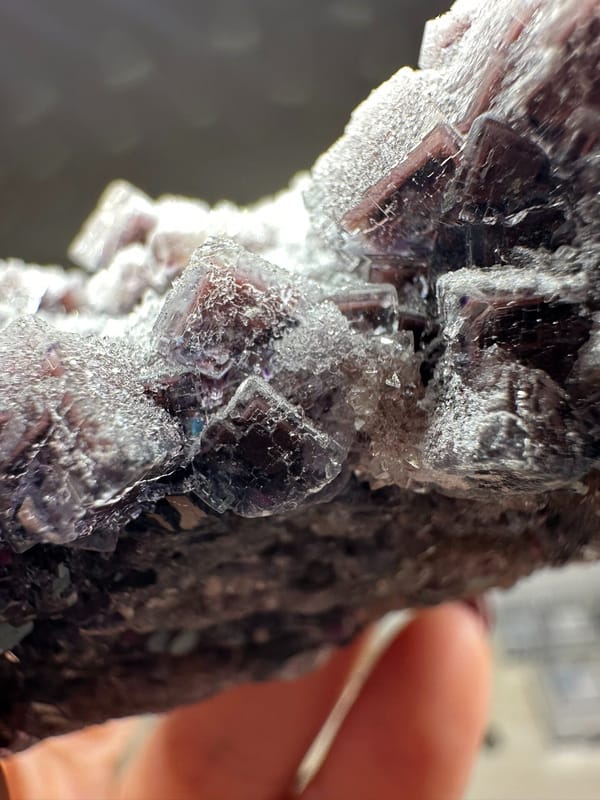 Fluorite, individual mineral specimen view 5 for a mineral collection
