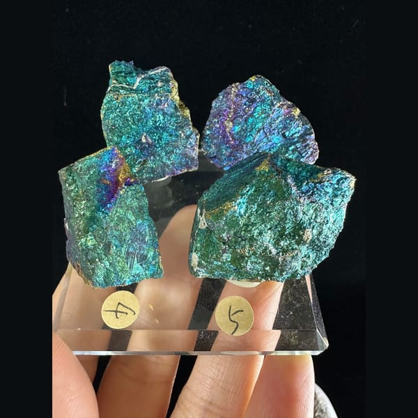 Iridescent Bornite and Chalcopyrite Assortment - complete view