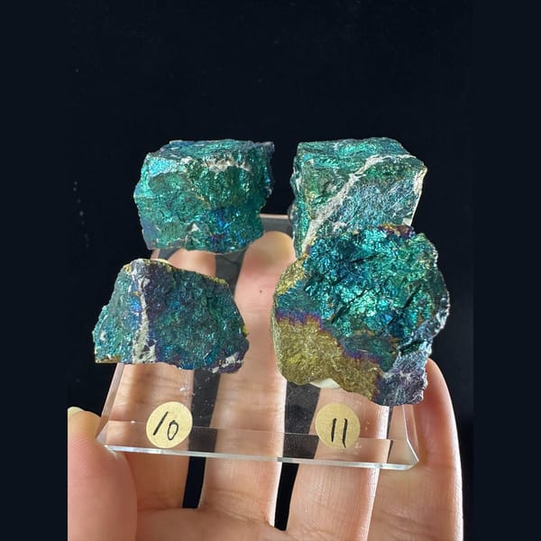 Iridescent Bornite and Chalcopyrite Assortment - alternate view