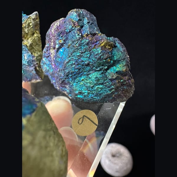 Iridescent Bornite and Chalcopyrite Assortment - detail view