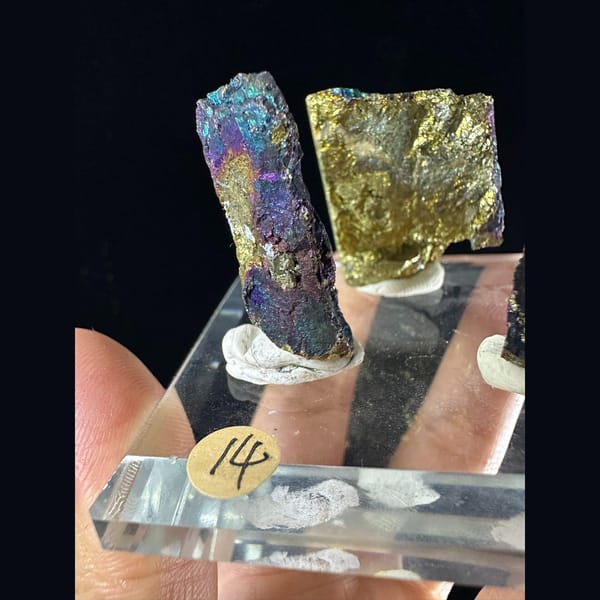 Iridescent Bornite and Chalcopyrite Assortment - detail view
