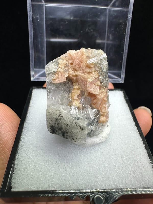 Rhodochrosite, individual mineral specimen view 8 for a mineral collection