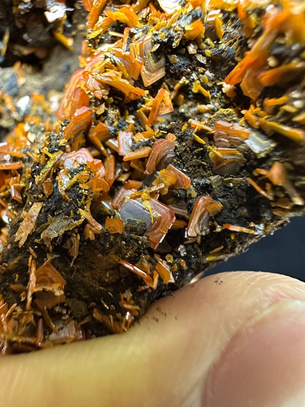 Wulfenite from Xinjiang, China, individual mineral specimen view 5