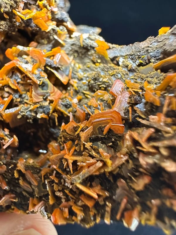 Wulfenite from Xinjiang, China, individual mineral specimen view 6