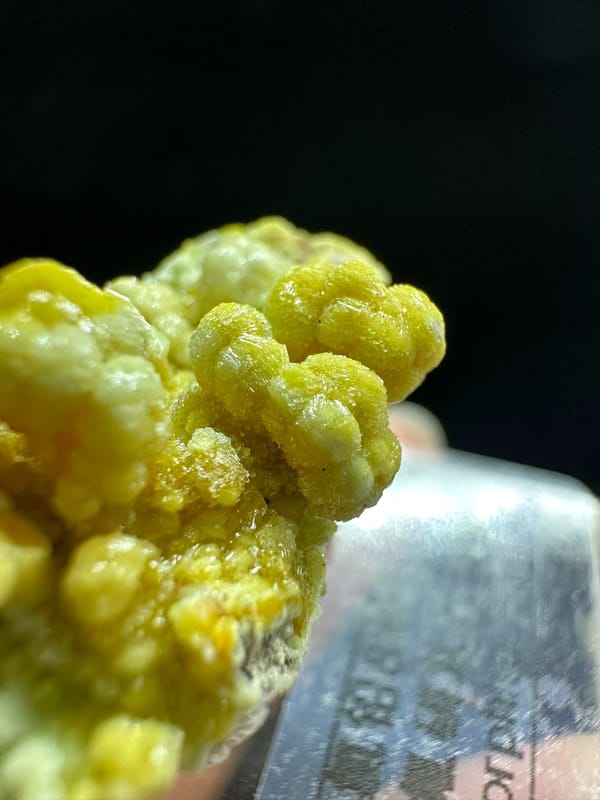 Pyromorphite from Shizhuyuan, Hunan, China, individual mineral specimen view 2