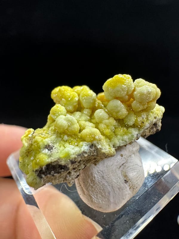 Pyromorphite from Shizhuyuan, Hunan, China, individual mineral specimen view 3