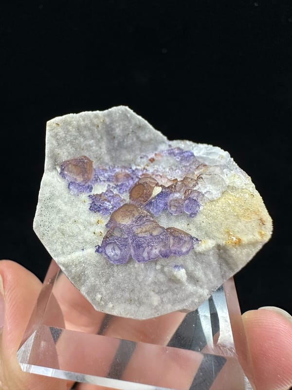 Fluorite from Guizhou, China, individual mineral specimen view 1