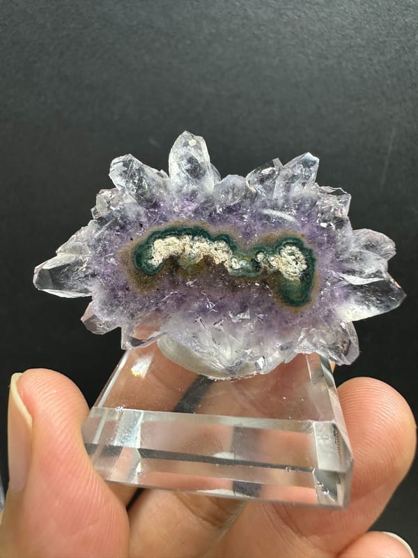 fetta di fiore di ametista dal Brasile