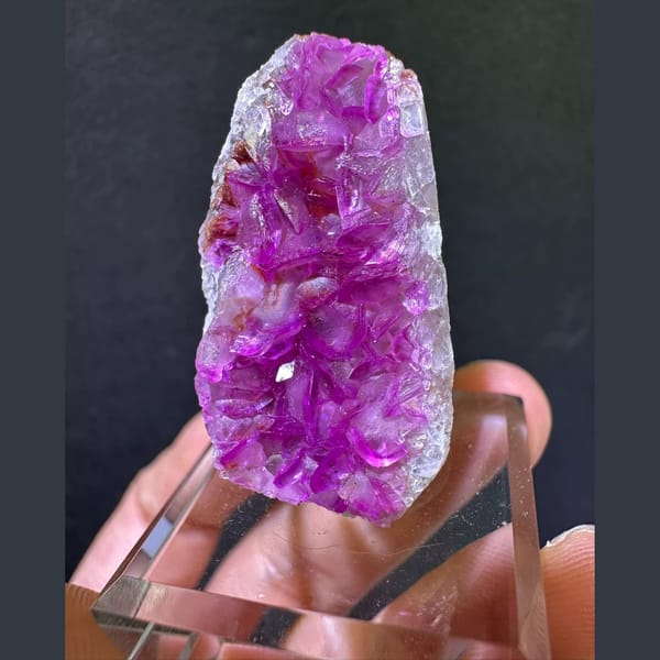 Hot-pink cobaltoan calcite petal druse from Congo — complete view