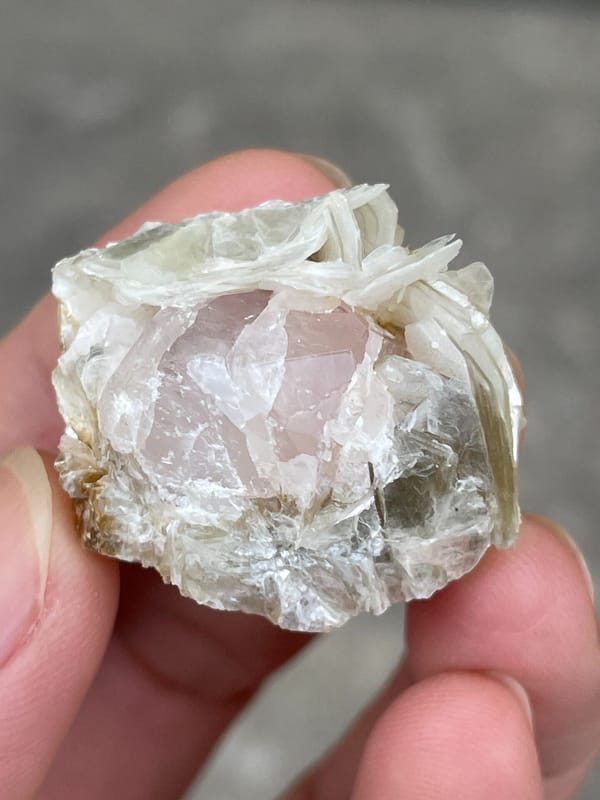 Pale pink apatite crystal surrounded by white mica blades from Pakistan