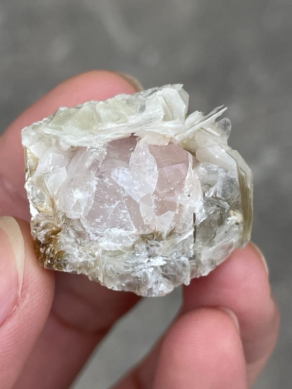 Pale pink apatite crystal surrounded by white mica blades from Pakistan, second angle
