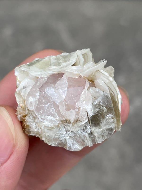 Pale pink apatite crystal surrounded by white mica blades from Pakistan, top view