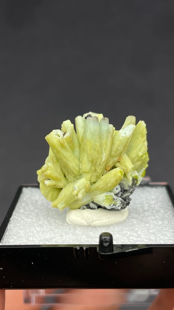 Chartreuse green plumbogummite spray from Guangxi, China, in a perky box, top view