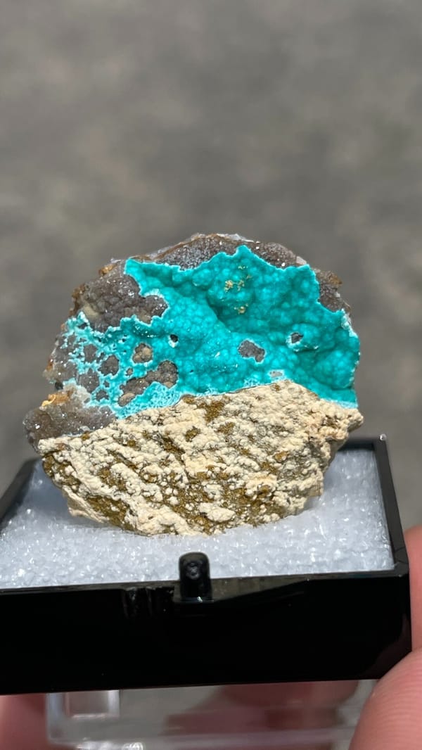 Turquoise copper-zinc carbonate crust on limonite from Yunnan, China, in a perky box