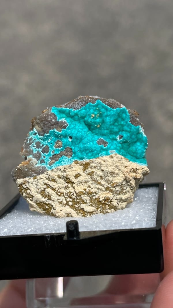 Turquoise copper-zinc carbonate crust on limonite from Yunnan, China, in a perky box, second angle