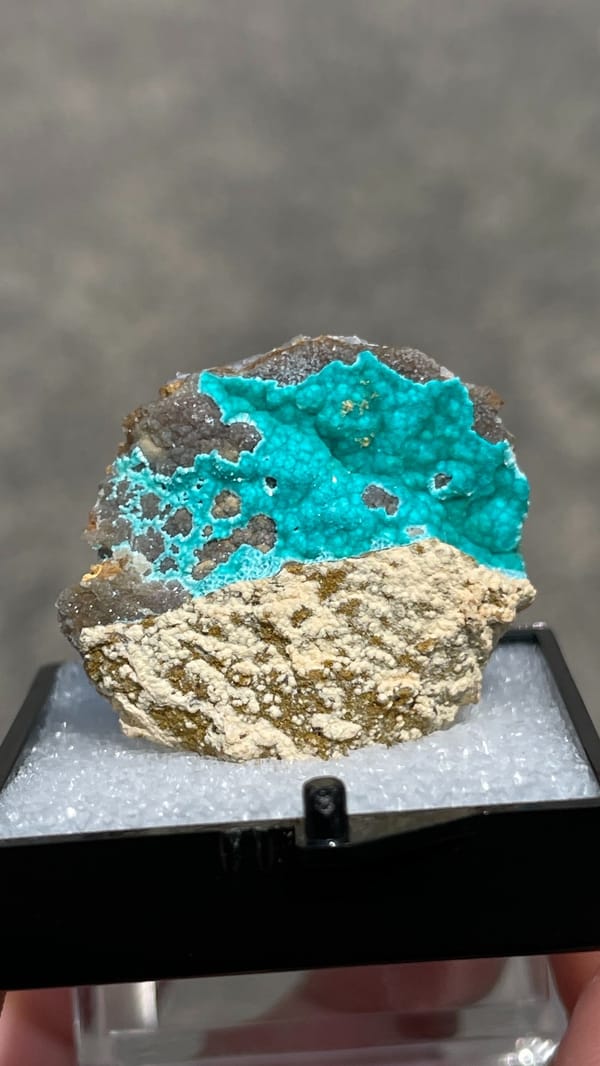 Turquoise copper-zinc carbonate crust on limonite from Yunnan, China, in a perky box, reverse side