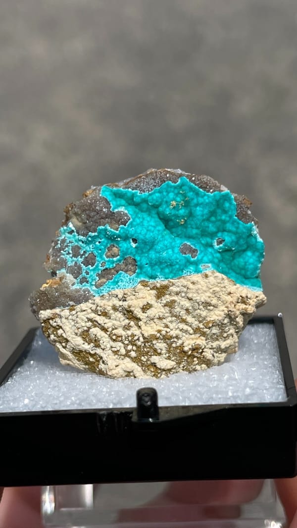 Turquoise copper-zinc carbonate crust on limonite from Yunnan, China, in a perky box, top view