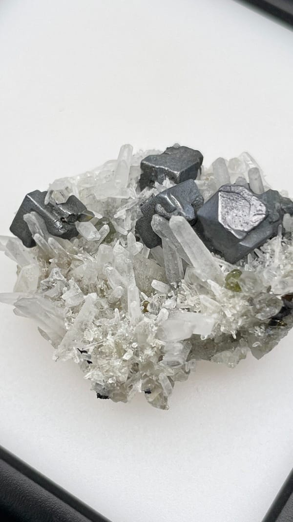 Metallic galena cubes with clear quartz points from Bulgaria, in a display box