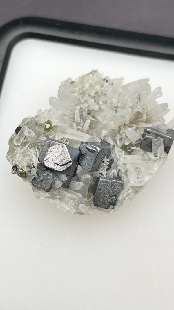Metallic galena cubes with clear quartz points from Bulgaria, in a display box, close-up of the crystal faces