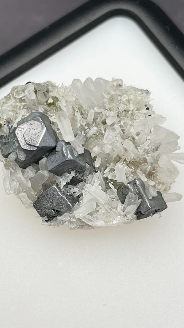 Metallic galena cubes with clear quartz points from Bulgaria, in a display box, reverse side
