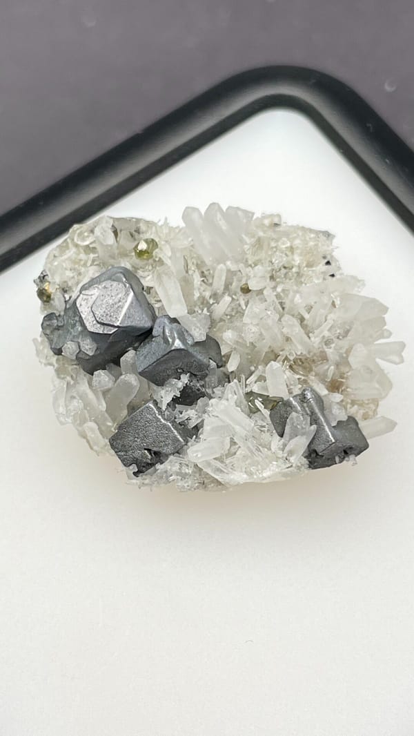 Metallic galena cubes with clear quartz points from Bulgaria, in a display box, top view