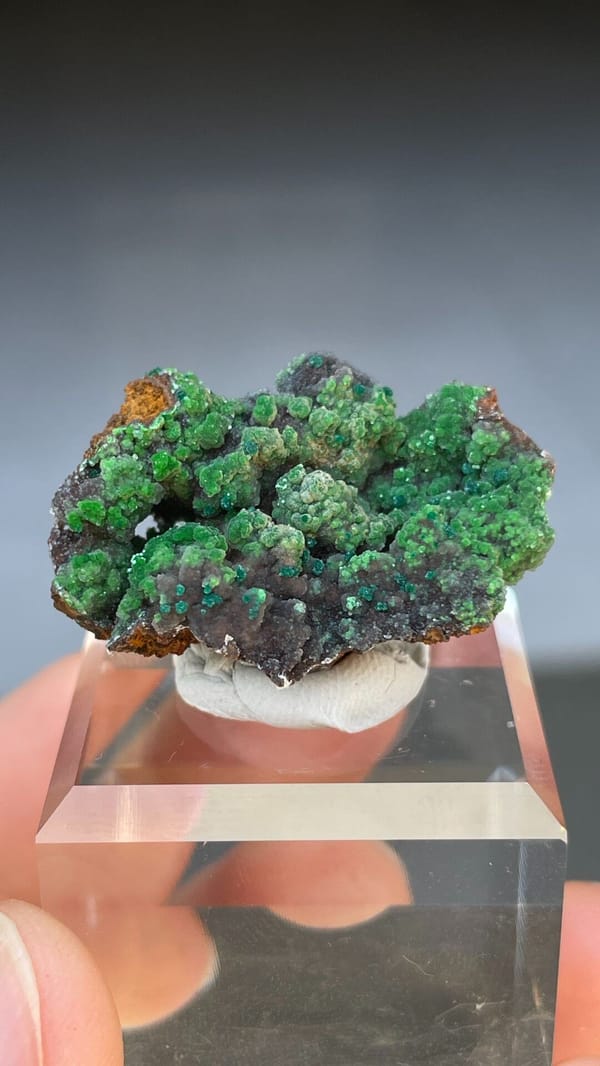 Grass-green botryoidal conichalcite crust on matrix from Morocco, on a stand
