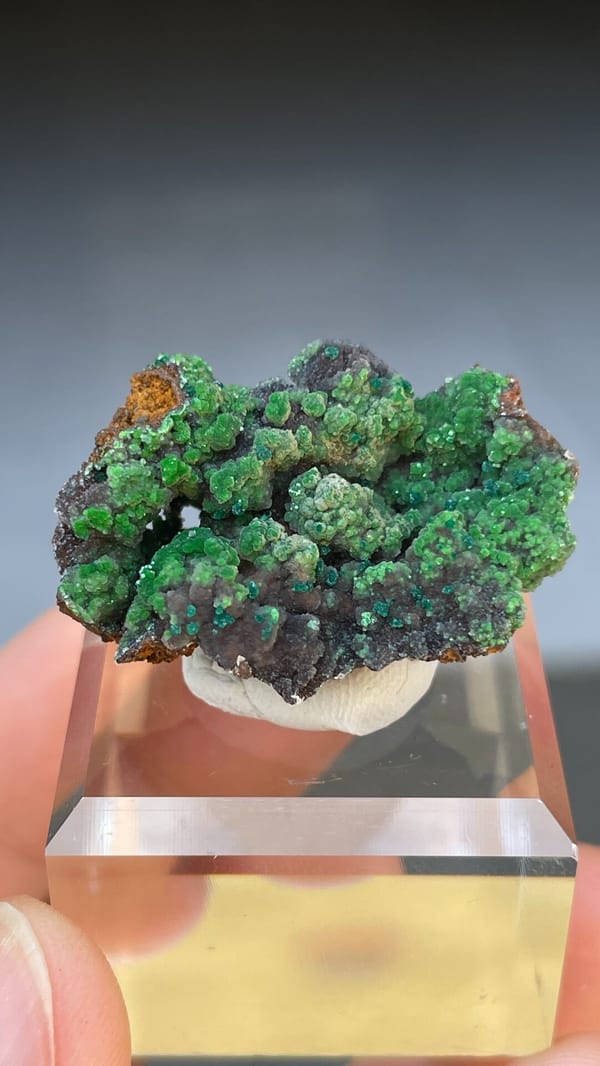 Grass-green botryoidal conichalcite crust on matrix from Morocco, second angle
