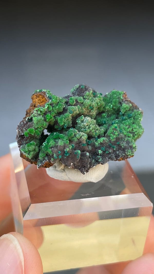 Grass-green botryoidal conichalcite crust on matrix from Morocco, close-up of the crystal faces