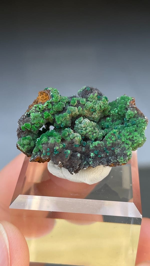 Grass-green botryoidal conichalcite crust on matrix from Morocco, reverse side