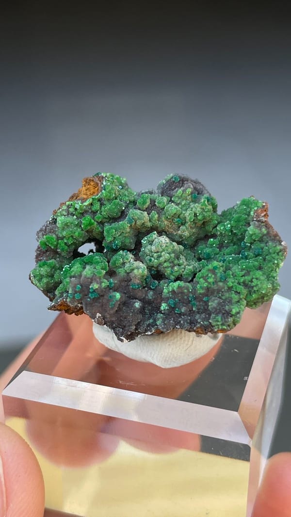 Grass-green botryoidal conichalcite crust on matrix from Morocco, top view