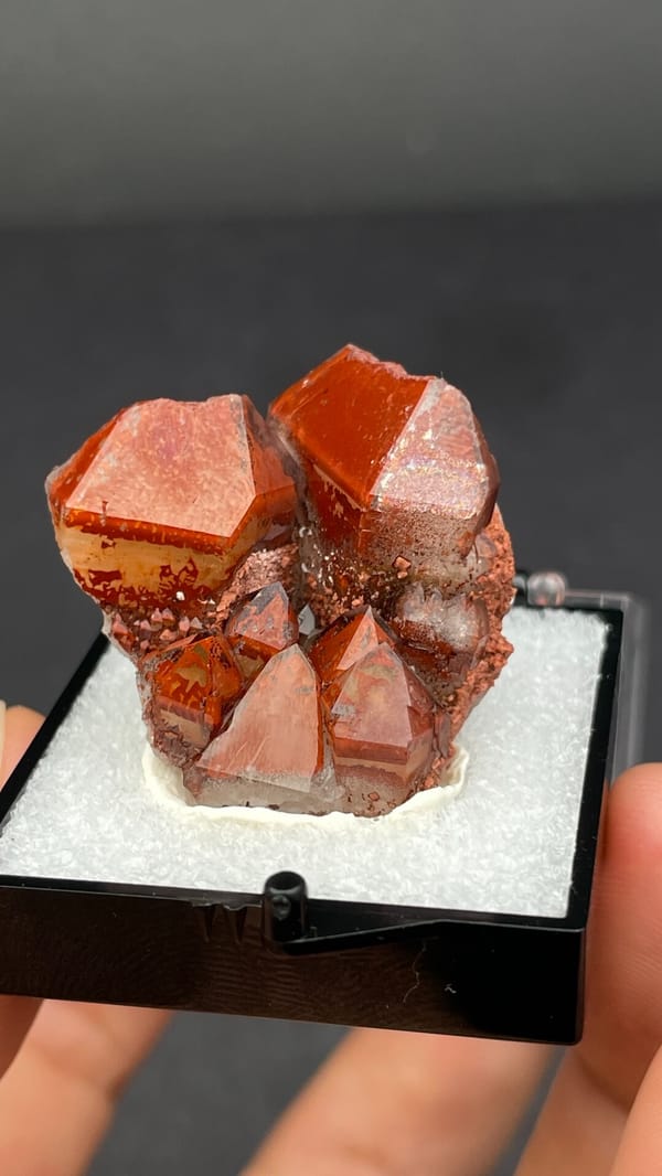 Deep red hematoid quartz crystals on matrix from Shanxi, China, in a perky box, close-up of the crystal faces