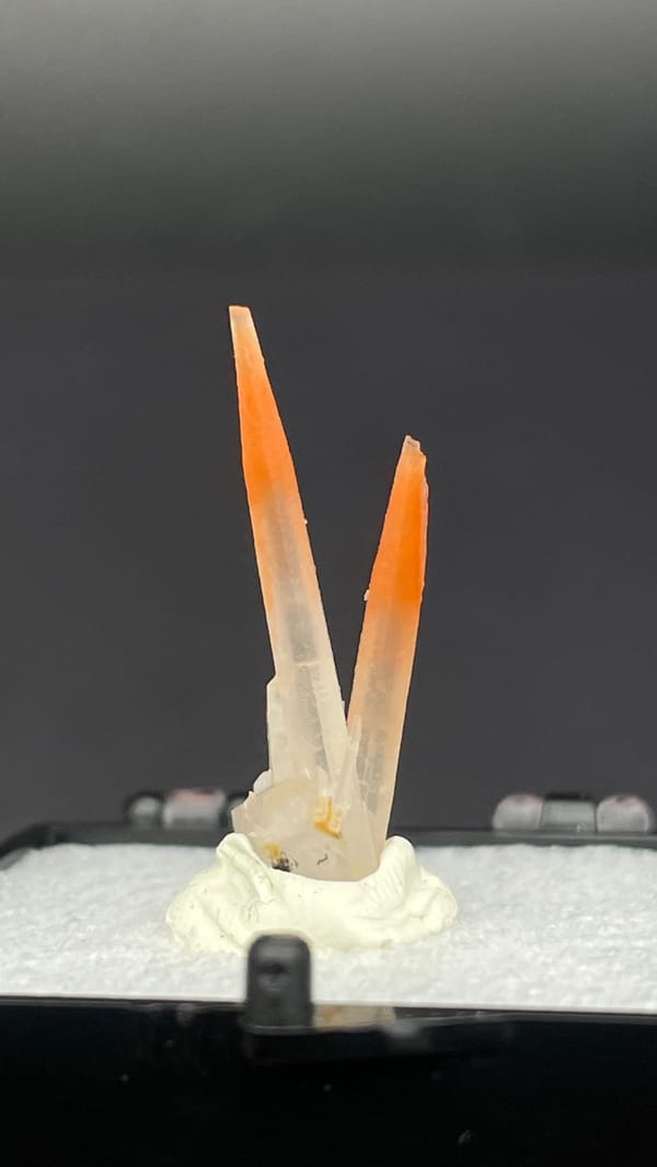 Two slender orange-red hematoid quartz needles from Guangdong, China, in a perky box, close-up of the crystal faces
