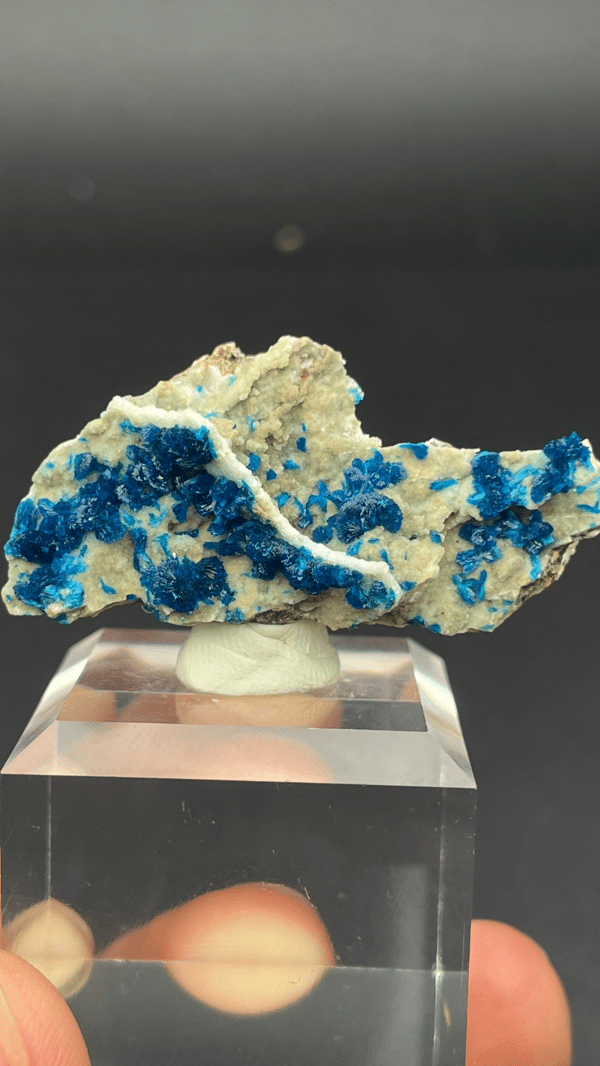 Deep blue veszelyite fan on cream matrix from Yunnan, China, on an acrylic stand, top view
