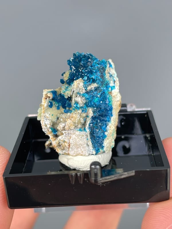 Electric blue veszelyite crystals on cream matrix from Yunnan, China, in a display box