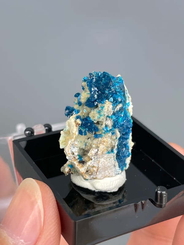Electric blue veszelyite crystals on cream matrix from Yunnan, China, in a display box, second angle