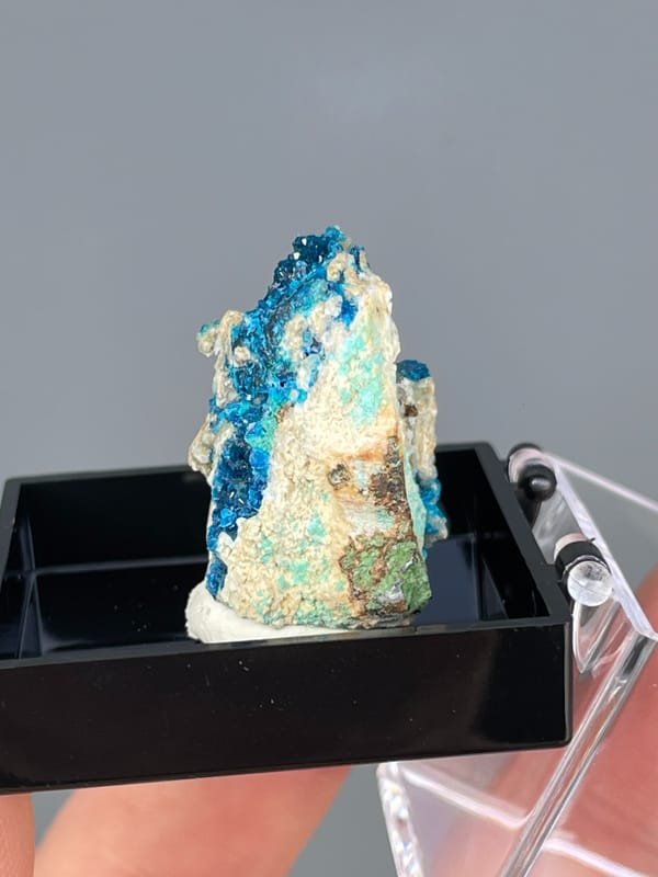 Electric blue veszelyite crystals on cream matrix from Yunnan, China, in a display box, close-up of the crystal faces