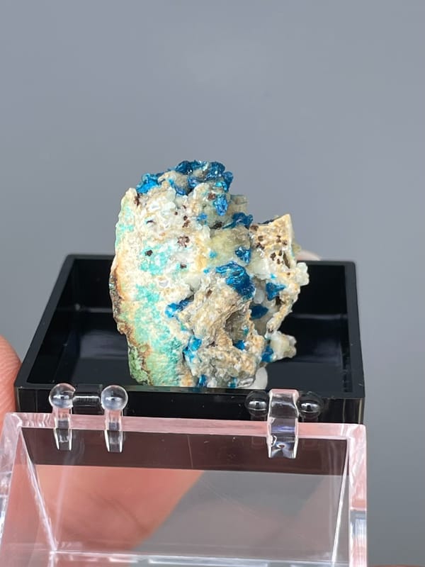 Electric blue veszelyite crystals on cream matrix from Yunnan, China, in a display box, top view