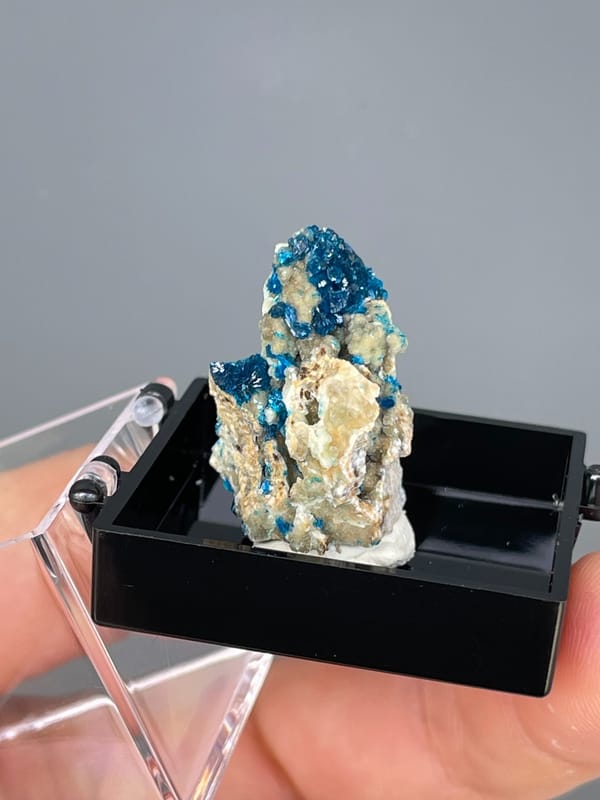 Electric blue veszelyite crystals on cream matrix from Yunnan, China, in a display box, detail of the matrix contact