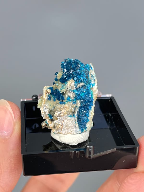 Electric blue veszelyite crystals on cream matrix from Yunnan, China, in a display box, side view
