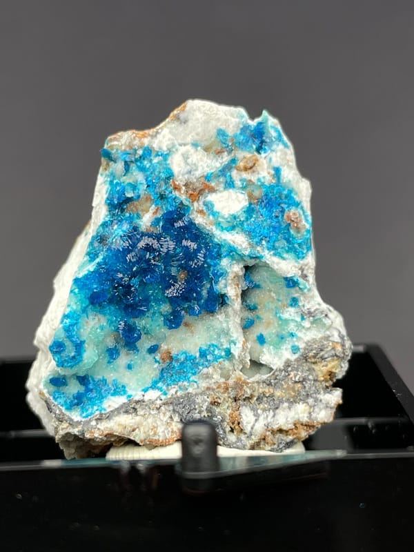 Electric blue veszelyite crust on pale matrix from Yunnan, China, in a display box