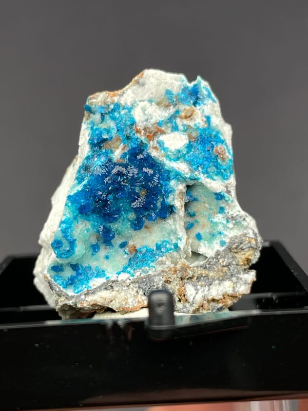 Electric blue veszelyite crust on pale matrix from Yunnan, China, in a display box, reverse side
