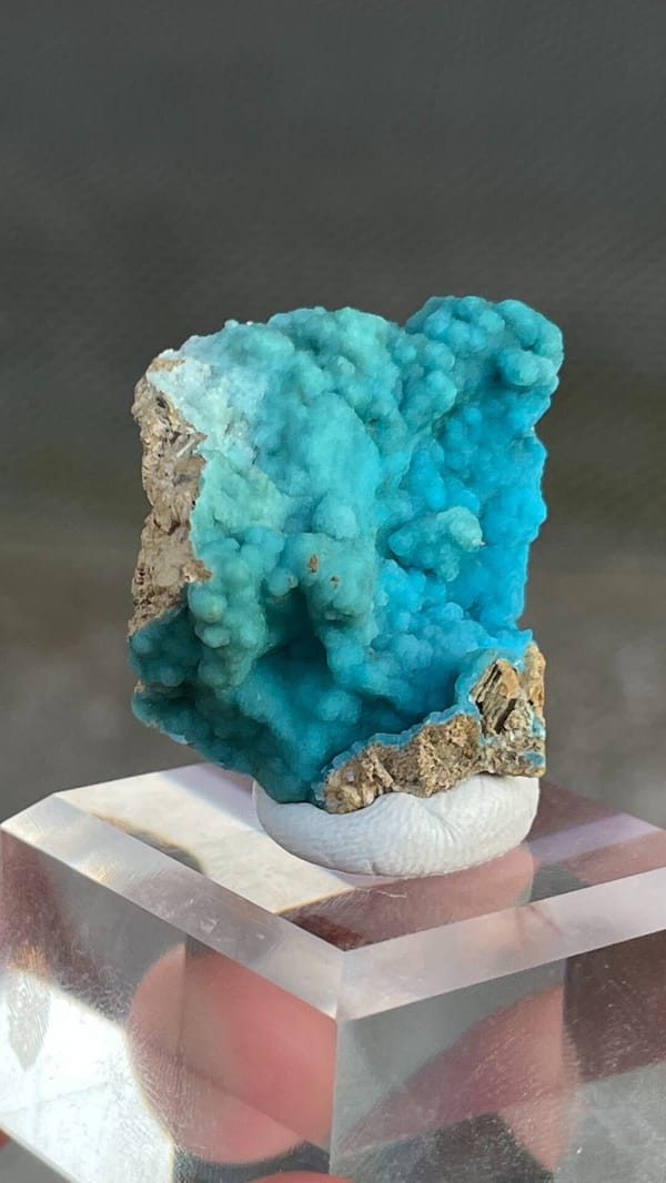Turquoise botryoidal hemimorphite crust from Yunnan, China, on an acrylic stand, reverse side