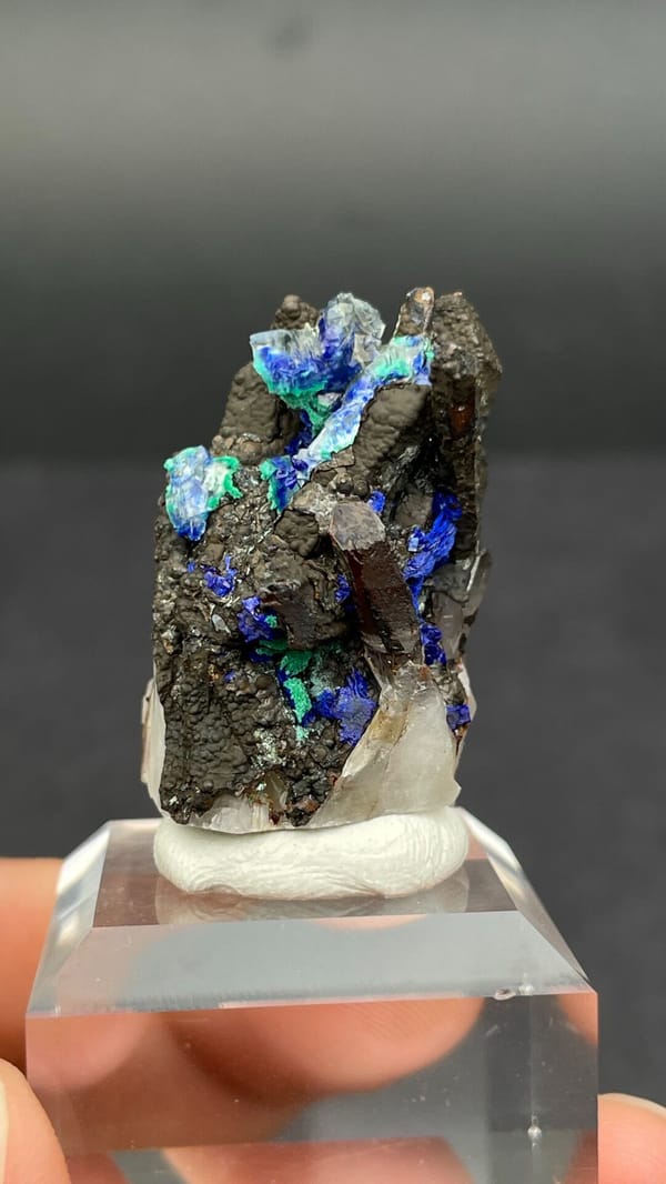 Blue azurite with green malachite sprays on matrix from Morocco, on a stand