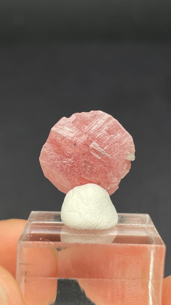 Pink rhodochrosite rosette on quartz from Wuzhou, Guangxi, China, top view
