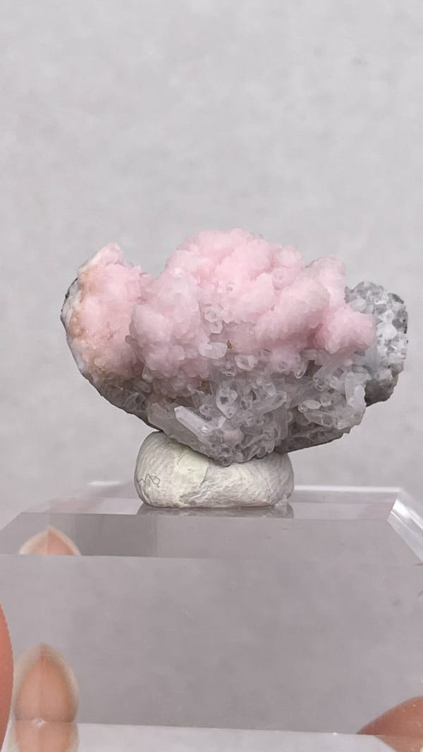 Pink botryoidal rhodochrosite cap on grey quartz from Romania, on a stand