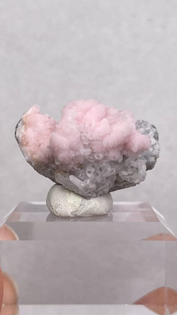 Pink botryoidal rhodochrosite cap on grey quartz from Romania, second angle