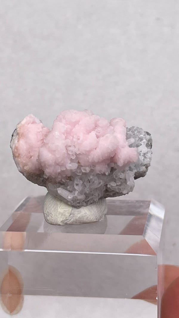 Pink botryoidal rhodochrosite cap on grey quartz from Romania, reverse side