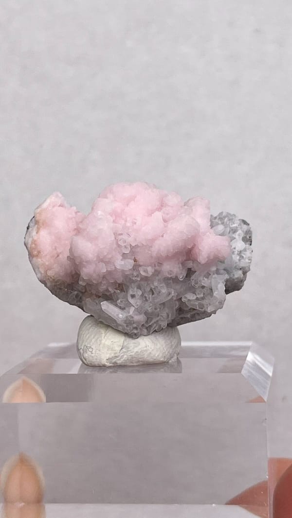 Pink botryoidal rhodochrosite cap on grey quartz from Romania, top view