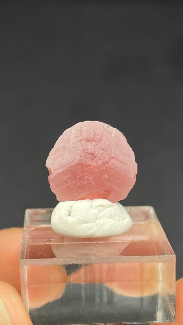Rose-pink rhodochrosite shell on quartz from Wuzhou, Guangxi, China, on a stand